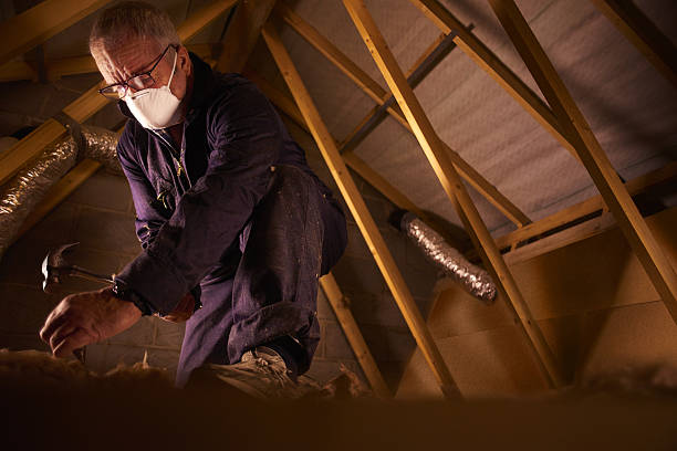 Best Specialty Insulation in Dorothy, NJ